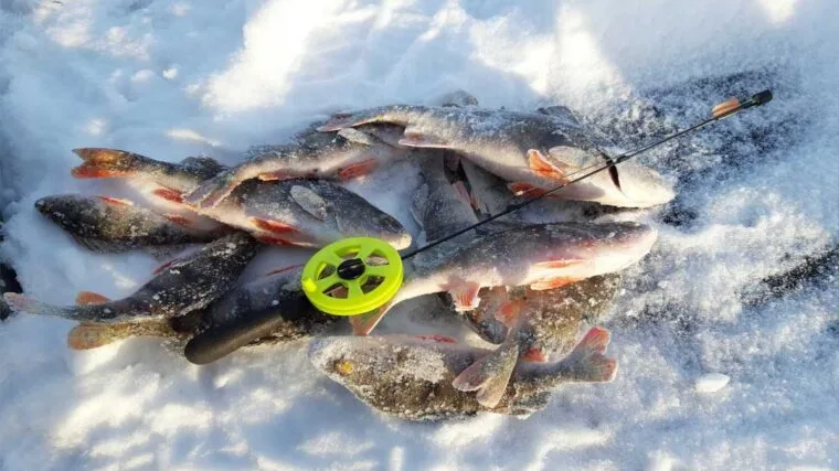 ТОП-5 мормишок для зимової риболовлі на глибині