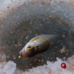 Как выбрать мормышки для ловли на глубине зимой