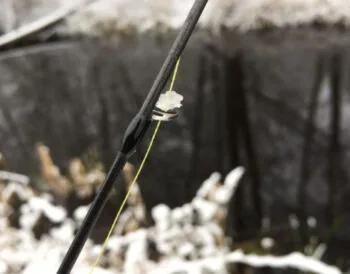 Як захистити волосінь від обмерзання: ТОП-4 перевірених засобів