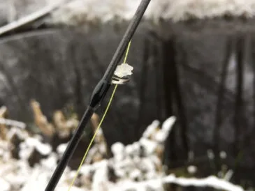 Як захистити волосінь від обмерзання: ТОП-4 перевірених засобів