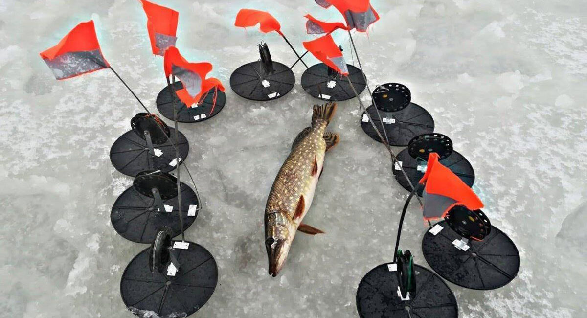 Ловля щуки взимку: вибираємо найкращі жерлиці