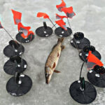 Ловля щуки и судака зимой: секреты активизации хищника