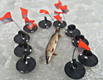 Ловля щуки взимку: вибираємо найкращі жерлиці