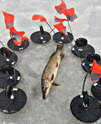 Ловля щуки взимку: вибираємо найкращі жерлиці