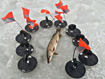 Ловля щуки взимку: вибираємо найкращі жерлиці