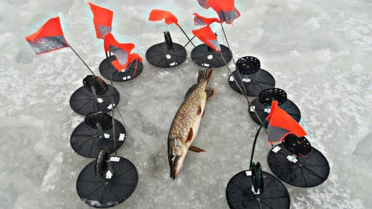 Ловля щуки взимку: вибираємо найкращі жерлиці