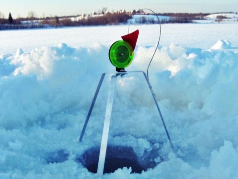 Жерлиця-тринога