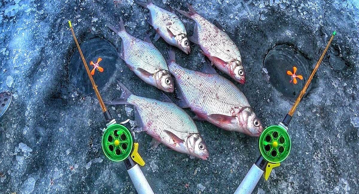 Як зібрати зимову поплавкову вудку