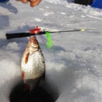 Зимняя рыбалка 2025: что нужно знать, чтобы быть на шаг впереди