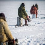 Как выбрать зимнюю прикормку для плотвы: советы профессионалов