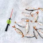 Зимняя рыбалка: как температура воздуха влияет на клев рыбы