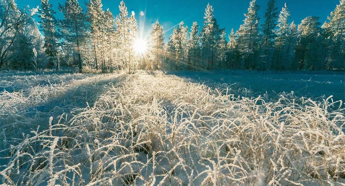 До -20°С вночі: синоптики передбачають сильні морози в Україні