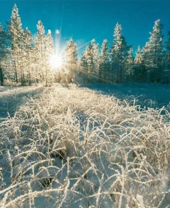 До -20°С вночі: синоптики передбачають сильні морози в Україні