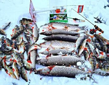 Як зловити хижу рибу взимку: три перевірені способи