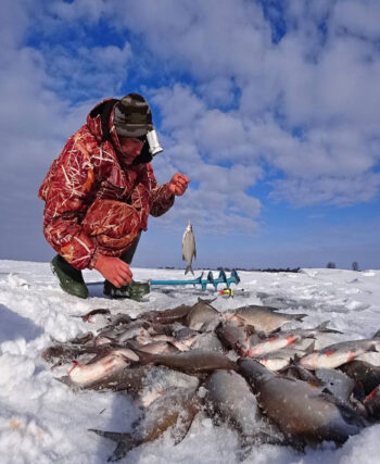 Зимова риболовля: на яке підгодовування неодмінно клюне риба