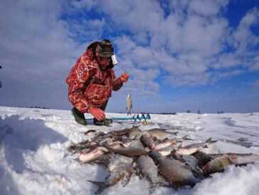 Зимова риболовля: на яке підгодовування неодмінно клюне риба
