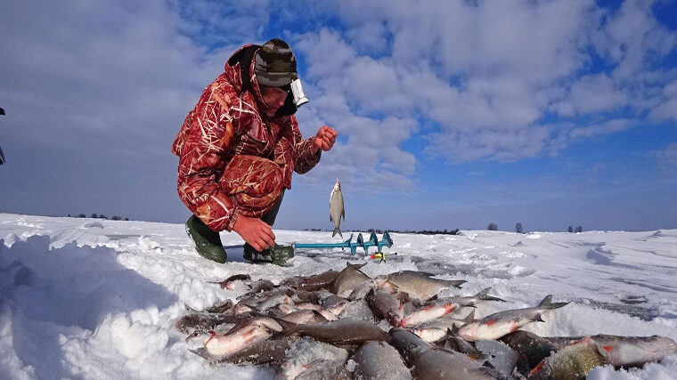 Зимова риболовля: на яке підгодовування неодмінно клюне риба