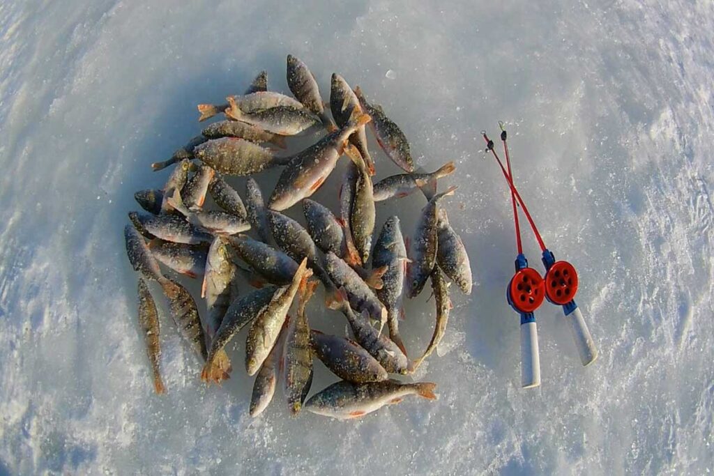 Вибір місця для зимової риболовлі