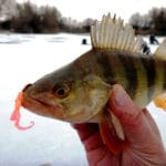 Зимняя ловля на спиннинг: эксперты назвали лучшие места для рыбалки