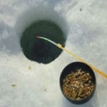 Рыболовы рассказали, как убрать запах и повысить активность опарыша