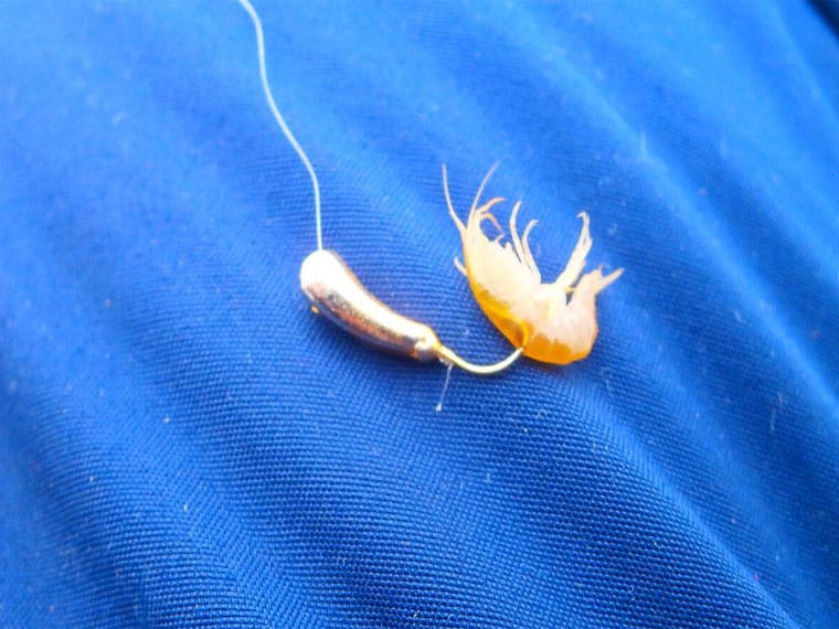 Способы насадки мормыша на мормышку