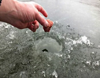 Сухарі чи підгодівля: що вибрати для зимової риболовлі?