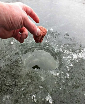 Сухарі чи підгодівля: що вибрати для зимової риболовлі?