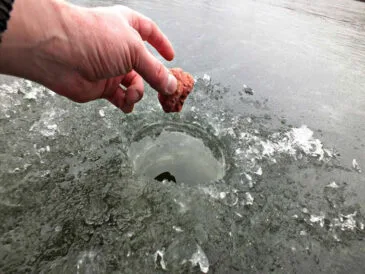 Сухарі чи підгодівля: що вибрати для зимової риболовлі?