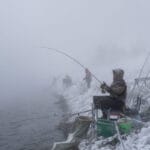 Что нужно сделать с прикормкой, чтобы она лучше работала в холодной воде?