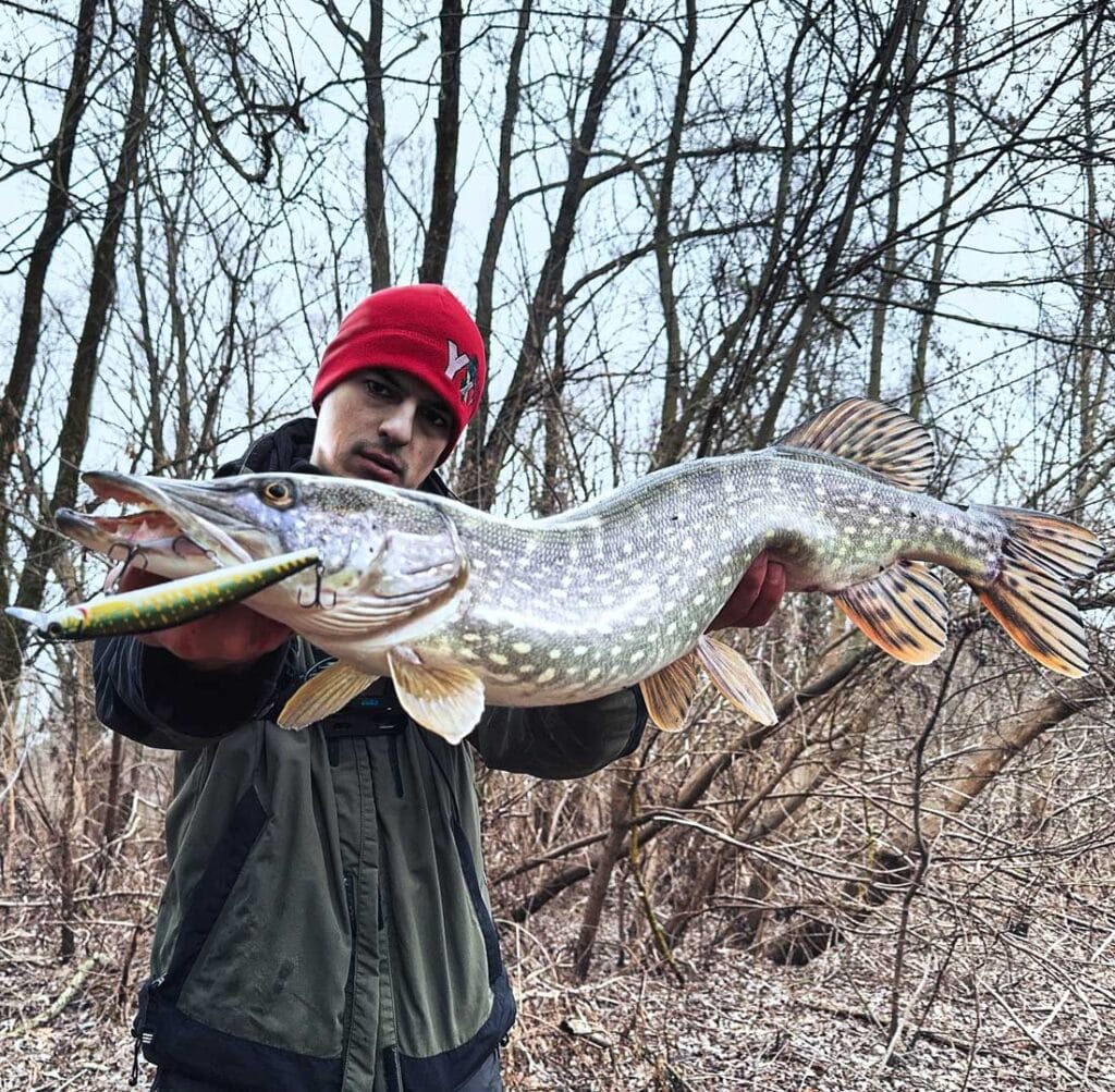 Неочікуваний риболовний успіх: хижак бере на джиг і твіч у січні