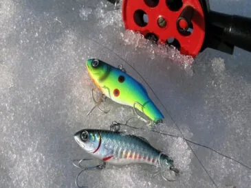 Нові приманки «Віби», на які гарантовано клює хижак