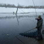 Ловля леща на «огороде»: рыбаки раскрыли самую добычливую рыбалку