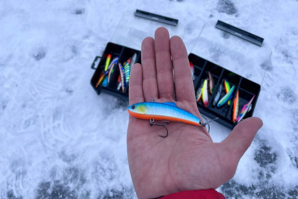 Як ловити на виби?