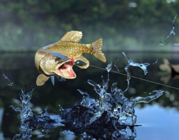 «100% рибалка»: новий ТГ-канал о риболовлі в Україні