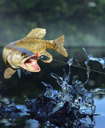 «100% рибалка»: новий ТГ-канал о риболовлі в Україні