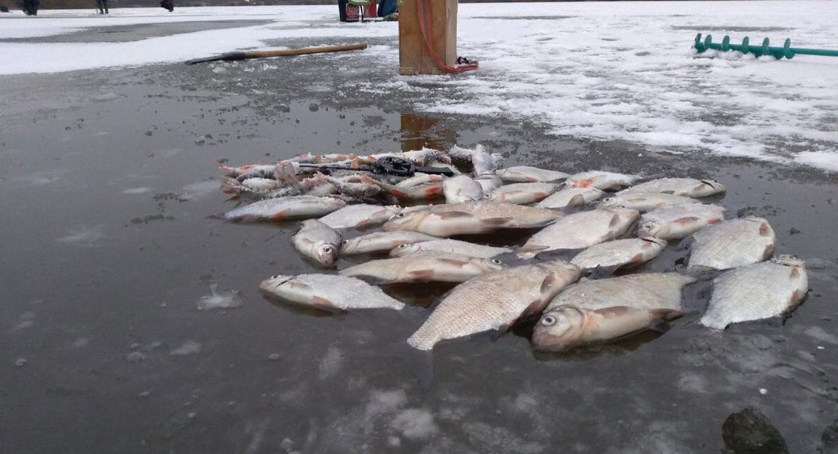 Прогноз погоди на лютий 2025: до чого готуватися рибалкам