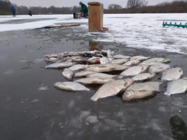 Прогноз погоди на лютий 2025: до чого готуватися рибалкам