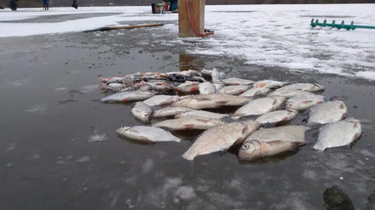 Прогноз погоди на лютий 2025: до чого готуватися рибалкам