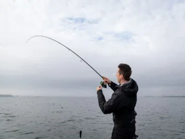 Shimano JDM: елітні вудилища для європейської риболовлі