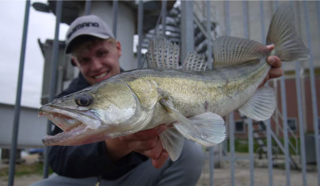 Японские удилища Shimano JDM