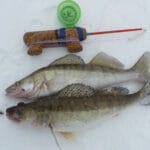 Carp Pro Escol: новая эра карповых катушек для трофеев