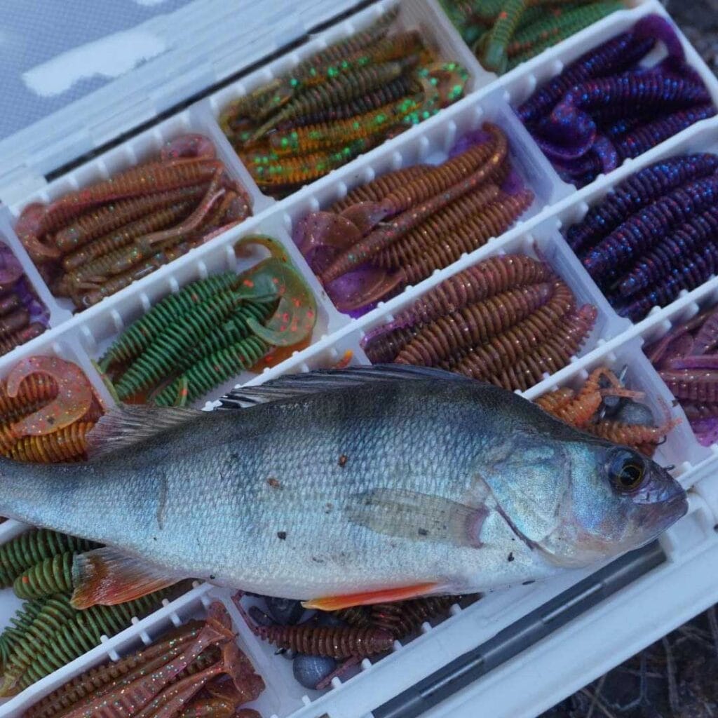 Топ-5 приманок і технік для зимового лову на мікроджиг в Україні