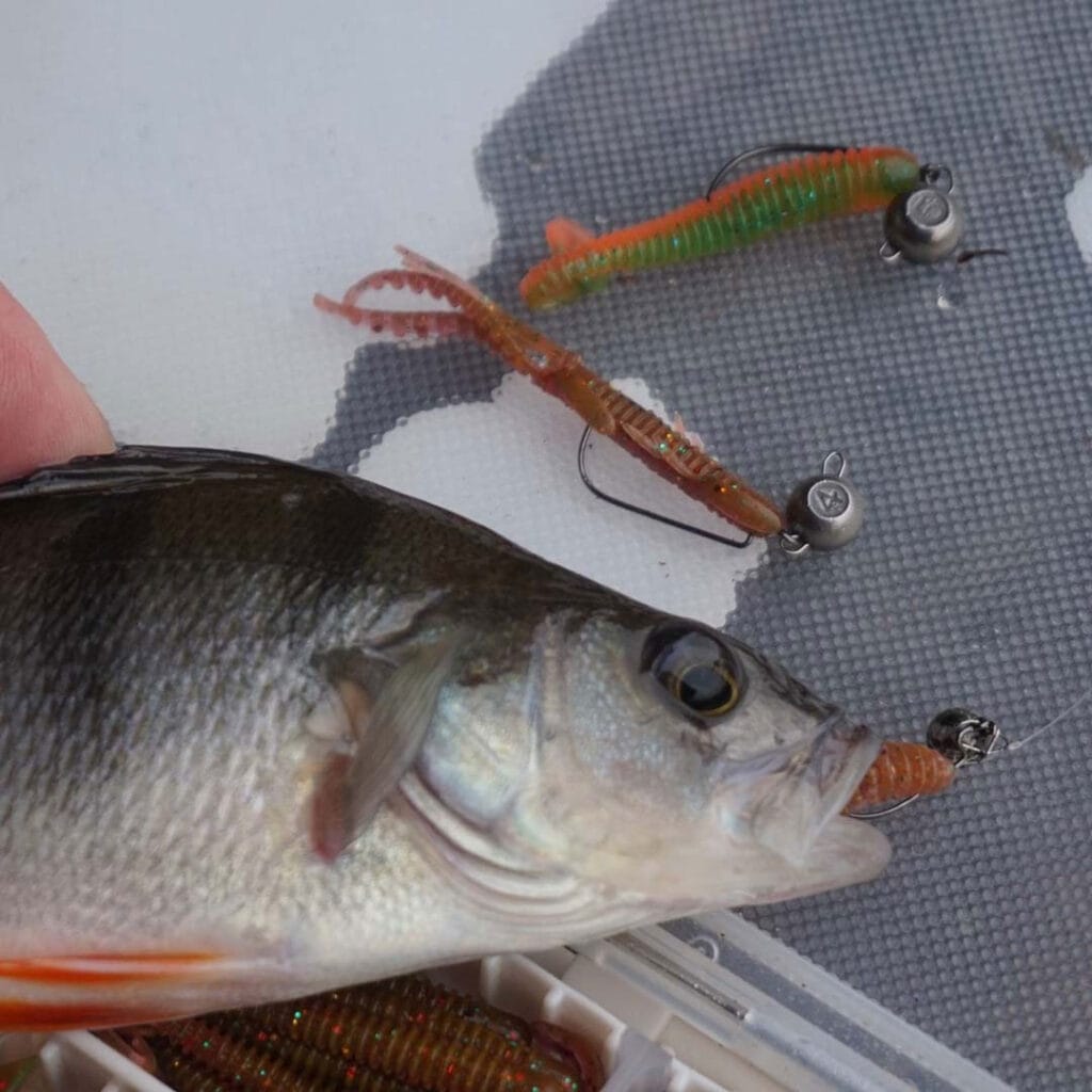 Ловля на мікроджиг взимку