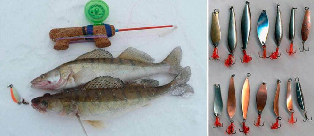 Приманки для судака: баланс розміру та гри