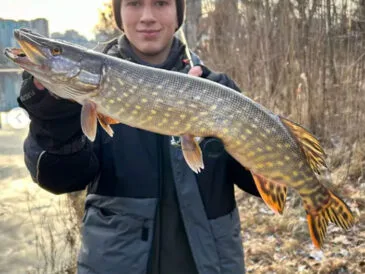 Теплі дні перед морозами: судак і щука радували рибалок