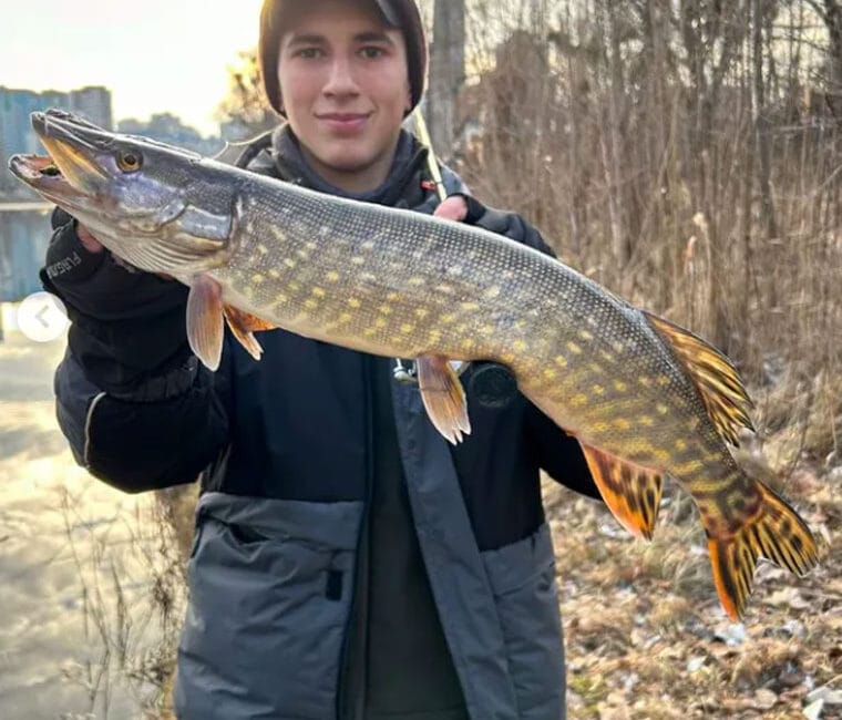 Теплі дні перед морозами: судак і щука радували рибалок