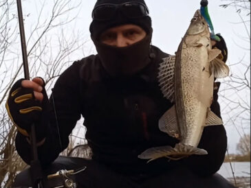 Рибалка спіймав п'ять судаків на Десні, незважаючи на примхи природи