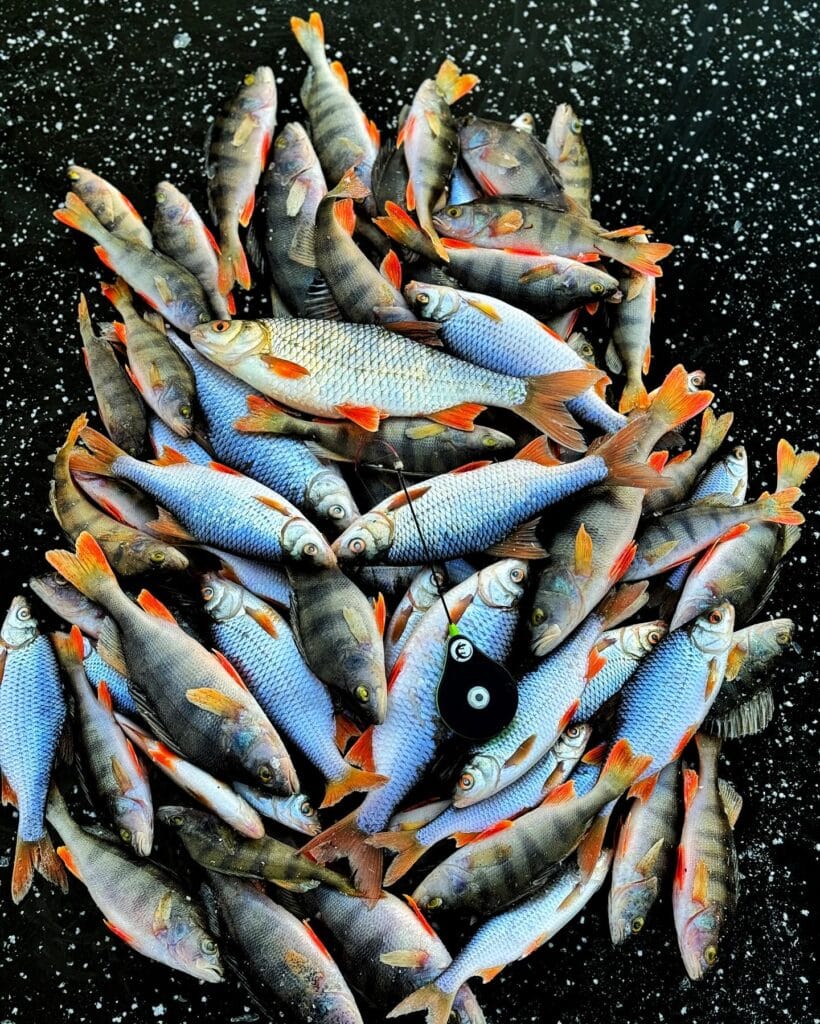 -14°C и горячий клёв: рыболов открыл сезон первого льда в Украине