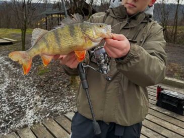 Аномальна зима і вдалий улов: досвід рибалки з Select Fat Fish