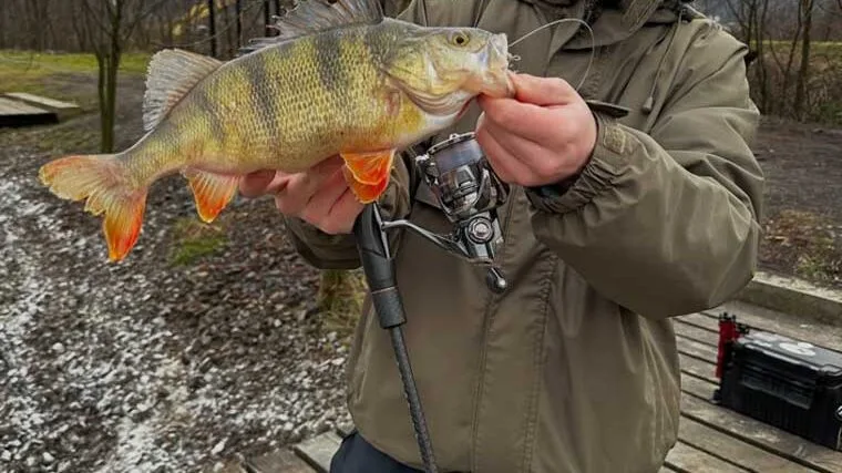 Аномальна зима і вдалий улов: досвід рибалки з Select Fat Fish